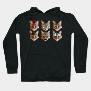 Cat Faces Hoodie